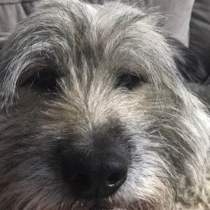 Meet your Posher, Monica